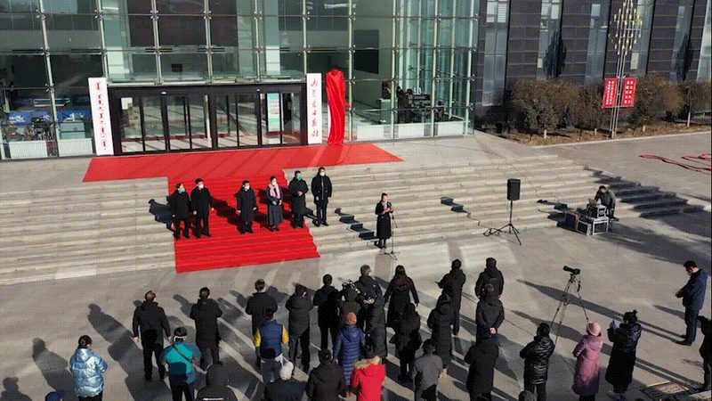 品牌策划与广告策划：本质区别与策略应用
