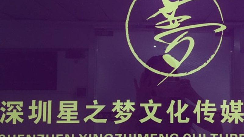 根据市场调研和行业口碑，以下是十大短视频批量制作品牌排名：